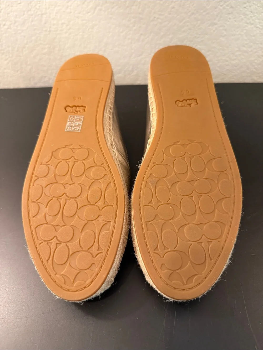Coach Carley Metallic Silver Espadrille Flats